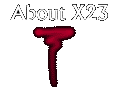 About X23: Our history, who we are, how to reach us