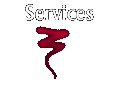 Services: What do we have to offer you?
